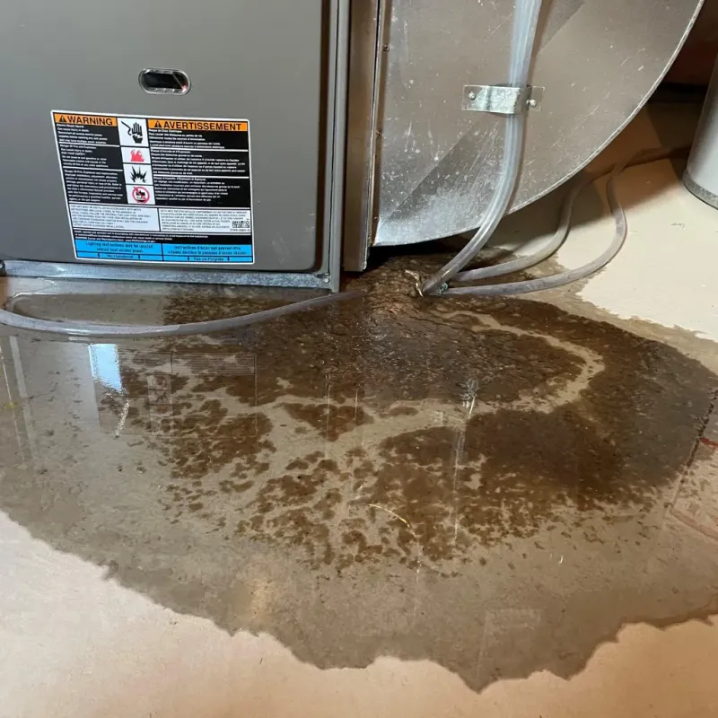 Appliance Leak Cleanup in Monroe, OH